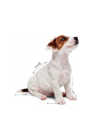 Royal Canin Mini Puppy Pouch Konserve Yavru Köpek Maması 85 G