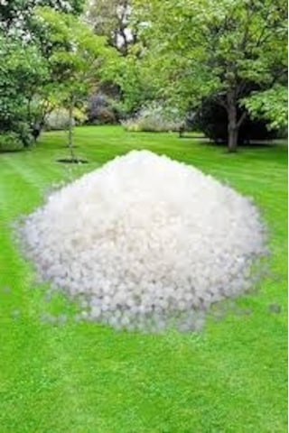 Amonyum Sulfat Şeker Gübresi-5 Kg