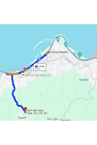 Nut Geo Kavrulmuş Giresun Fındık 250 G