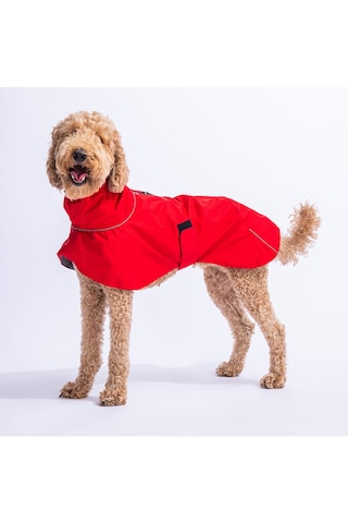 Pawstar Kırmızı Colombia Orta ve Büyük Irk Köpek Yağmurluğu