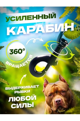 Petfort 3 M Yansıtıcı Naylon Köpek Tasması 167502167 Yeşil