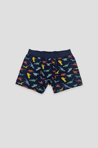 Defne Baby Erkek Çocuk Deseli Premium Pamuklu 2'li Boxer Seti Çok Renkli