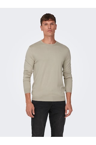 Only & Sons Erkek Bisiklet Yaka Regular Fit Kazak - 22020088 Bej