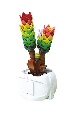 Gokidy Blok Sukulent Bitki Yapım Seti No 4 Oza61531