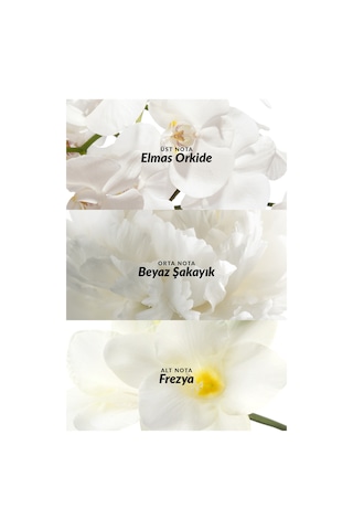 Avon Incandessence Kadın Parfüm EDP 3 x 30 ML