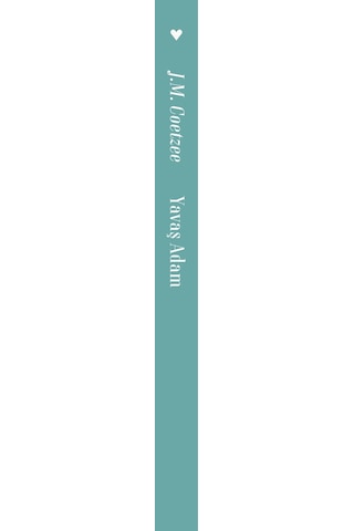 Yavaş Adam - John Maxwell Coetzee - Can Yayınları
