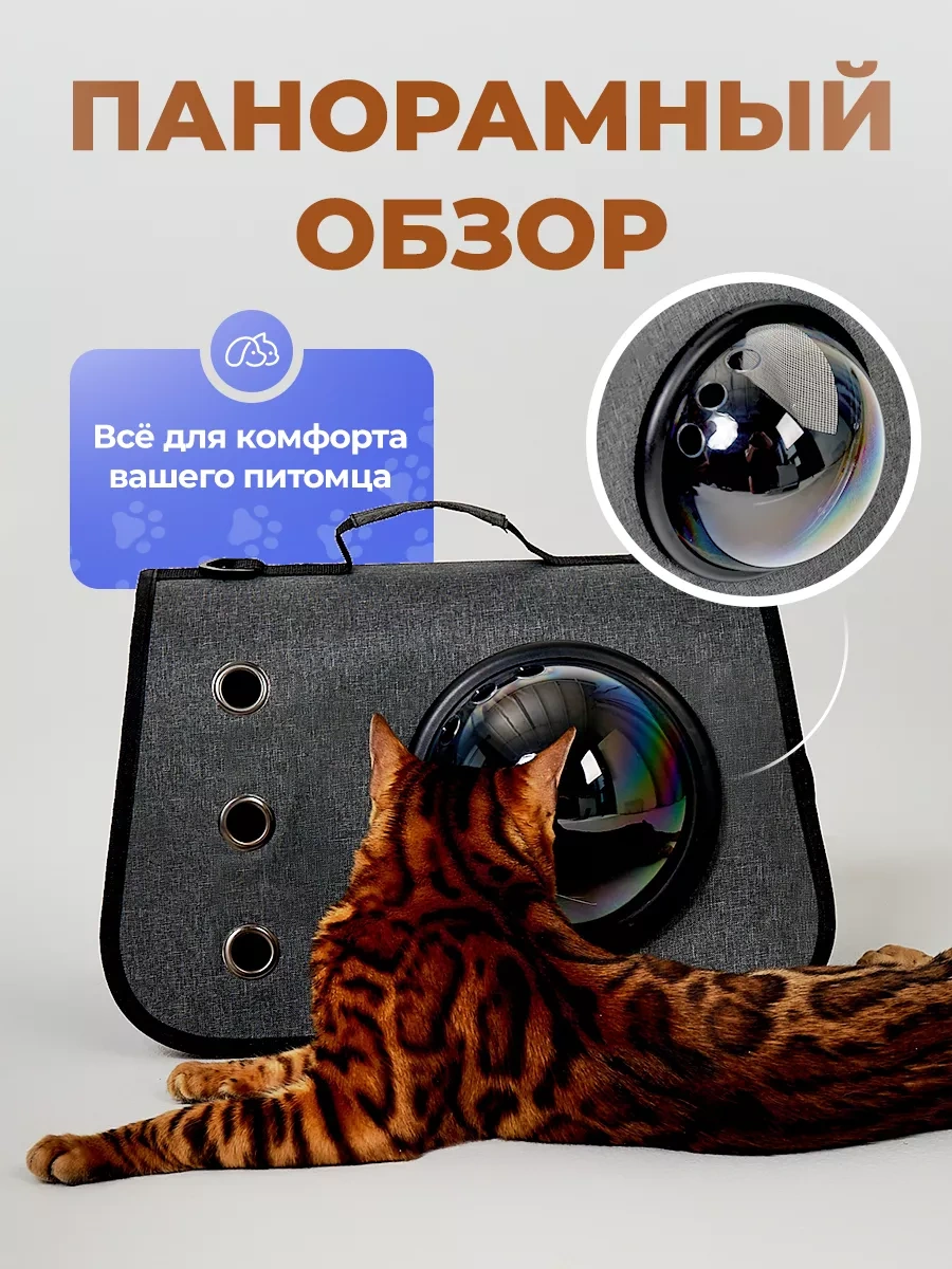 Martena Pets Evcil Hayvanlar, Kediler Ve Köpekler İçin Taşıma Çantası 235599952