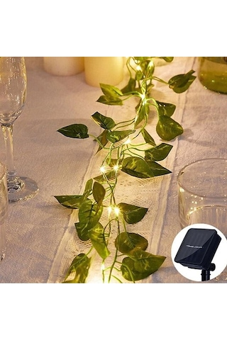 Güneş Enerjili Sarmaşık Led Dekor 5 Metre S-24 Çok Renkli