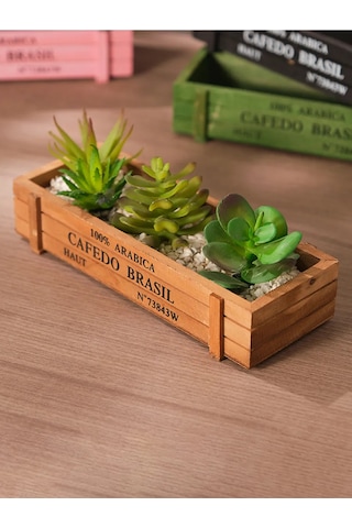 Denezo "ann" Ahşap Saksı, Sukulentler Ve Kaktüsler İçin 376269993