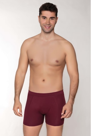 Dowry Erkek Modal Boxer Gizli Lastikli Bordo Bordo