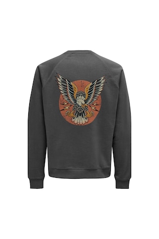 Only & Sons Onsmıchı Lıfe Reg Crew Neck Sweat Gri 22030618 001