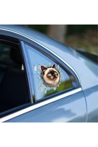 Bay Fulcar Siamesse Araç Stickerı Najmaddin
