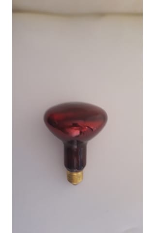 Infrared Lamba 100W 5Li Paket