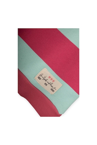 Sweatshirt 4-12 Yaş Mint Mercan Cizgili Mint Mercan Çizgili