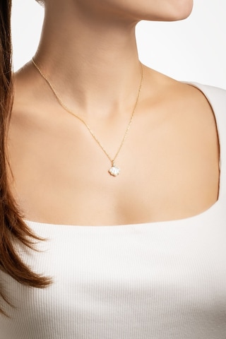 Deniz Kabuğu 18 Ayar Sarı Altın Kaplama 45 Cm Gümüş Kolye Sarı