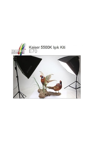 Kaiser Studiolight E70 Taşınabilir Gün Işığı Seti (3167)