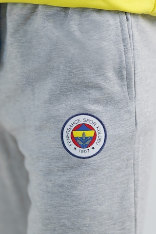 Fenerium Fenerbahçe Gri Logolu Eşofman Altı Gri