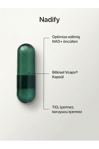 Longify Nadify Nr, Nmn, Pqq, Alfa Lipoik Asit Ve Tmg Takviye Edici Gıda 30 Kapsül