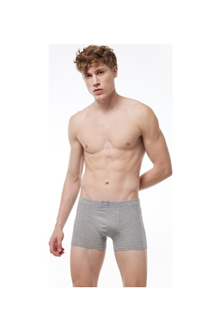 Malabadi Erkek Gri Pamuk Elastan Boxer 1m074 Gri