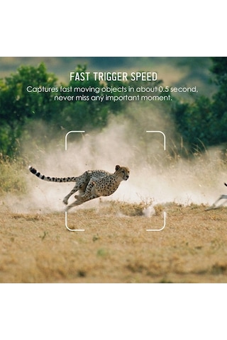 Dancemonkey Avcılık Kamerası Trail Kamera 16mp 4k Su Geçirmez Av Kamerası Gece Görüşlü Yaban Hayatı İzleme İçin Çok Renkli