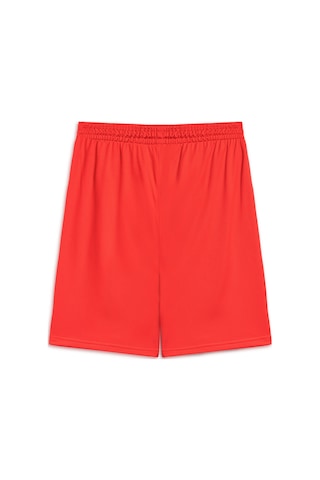 Puma Basketbol Antrenman Şort 605472 02 Kırmızı