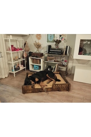 Köpek Yatağı 70 100 Cm Bilboa Rahat Ve Yıkanabilir Minder Yatak Dahil