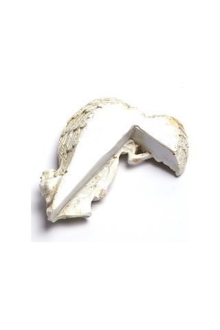 Fortunelane Saçma Resin Mavi Yanaçlı Melek Kapı Çerçevesi Dekorasyonu - Oturma Odası, Yatak Odası, Ofis Dekoru, Misafir Memnun Ed