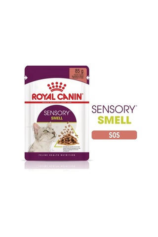 Royal Canin Sensory Koku Duyusu İçin Sos İçerisinde Yaş Kedi Maması 12 X 85g Box