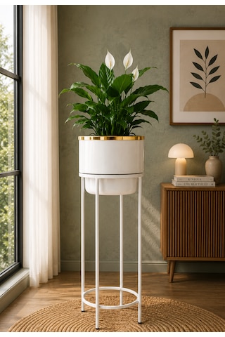 Bitkidunyam Mat Ayaklı Saksı, Metal, Altın Detaylı Kenar, Modern Minimalist Stil, İç Mekan, 62x26 Cm No:12 Beyaz