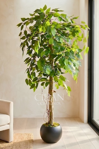 Yapay Benjamin Ağacı 27x33 Küre Saksılı 140 Cm Beyaz