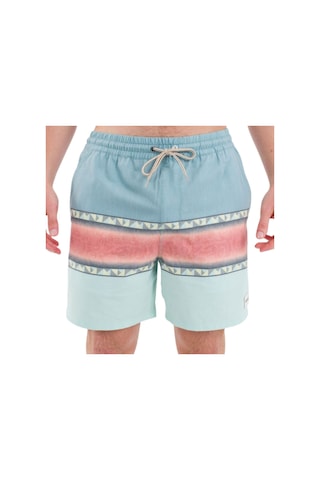 Hurley Hurley Phantom Naturals Cannonball 17 Erkek Volley Short 7338 Çok Renkli