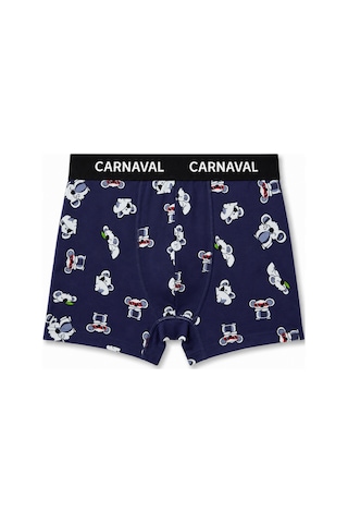 Carnaval Socks Carnaval Animal Crew Erkek Boxer 3'lü Set Çoklu