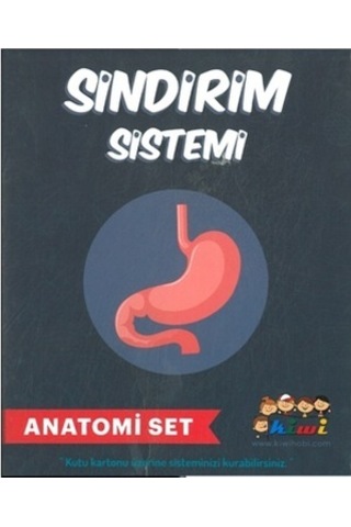 Misyon Kiwi Sindirim Sistemi Çalışması