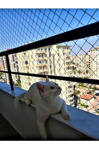 2,50 X 4 Metre Kedi Koruma Filesi Kedi Filesi Balkon Filesi 2 Mm Kedi Güvenlik Filesi -