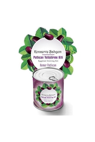 Buffer Konserve Bahçem Evde Konservede Kemer Patlıcanyetiştirme Kiti Mavi