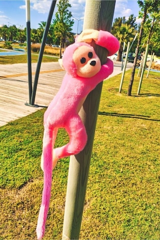 Sevimli Sarılan Sesli Maymun Pembe PEMBE