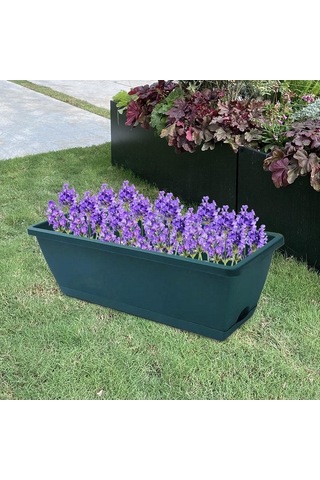 Pazly Yeşil Suntek Pencere Parça Kutusu Kapalı Tohum Ekici 2 Zd