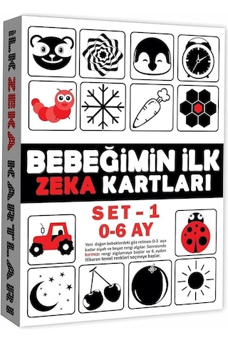 2199 Eğitici Kartlar 0-6 Ay Zeka Kartları