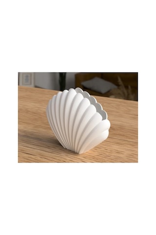 3d Deniz Kabuğu Vazo Modern Dekoratif Obje Estetik Ve Şık Tasarım 3d Deniz Kabuğu Vazo Modern Dekoratif Obje Estetik Ve Şık Tasarım