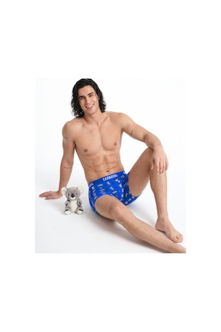 Carnaval Socks Koala Desenli Erkek Boxer Pamuklu Likralı Parlak Lastikli Kutulu Saks Mavi Çoklu