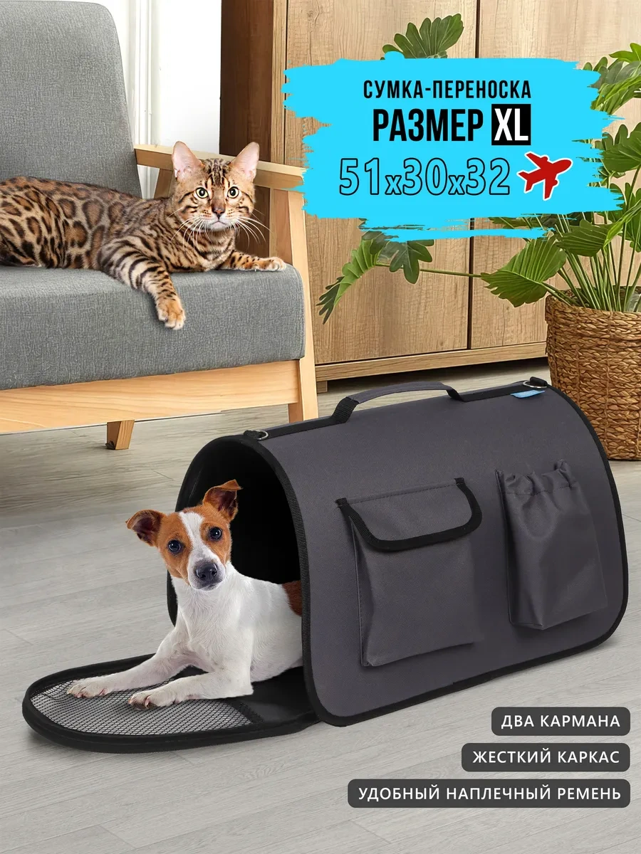 Rıch Breed Kedi Ve Köpekler İçin Taşıma Çantası, Saplı 322370764