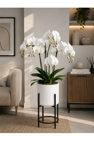 Bitkidunyam Metal Ayaklı Saksı, Silindirik, Modern Tasarım, 40x21 Cm No:10 Beyaz