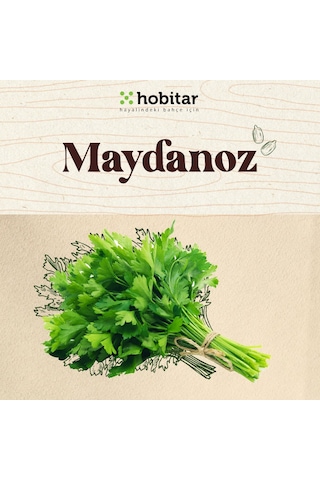 Hobitar Kolay Yetişen Yaze Yeşillikler Sebze Tohumu Paketi - 5 Çeşit Aromatik Tohumu