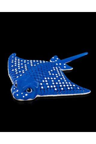 Hareketli Benekli Kartal Vatozu