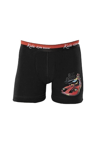12 Adet Kota Erkek Çocuk Baskılı Likralı Boxer Karışık Renk 1005