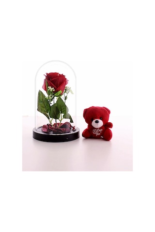 Fanusta Led Işıklı Kırmızı Gül Ve Kırmızı Mini Ayıcık Sevgiliye Eşe Sürpriz Hediye Set Sevgiliye Strglbl75