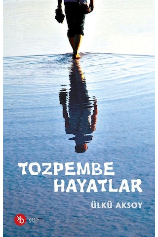 Tozpembe Hayatlar / Ülkü Aksoy