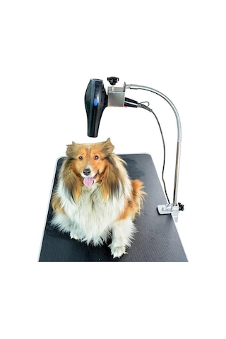 Suntek Köpek Evcil Hayvan Bakım Masası Saç Kurutma Makinesi