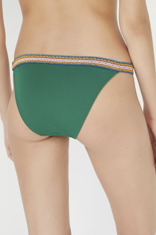 Penti Avokado Fruity Super Bikini Altı