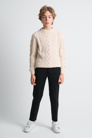 Alexandergardı Örgü Desenli Çocuk Kazak Bej